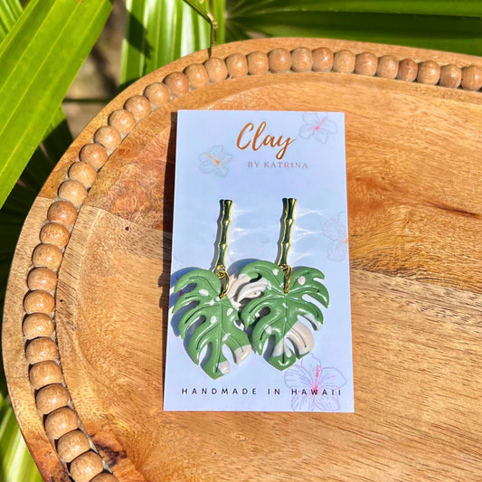 MONSTERA DANGLE - variegated