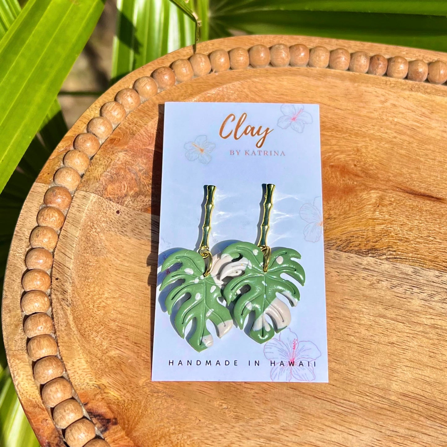 MONSTERA DANGLE - variegated